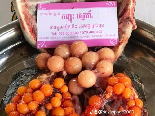 #បោះដុំកន្ធាយញីពងតម្លៃពិសេសផ្ញើរជូន25ខេត្តក្រុង