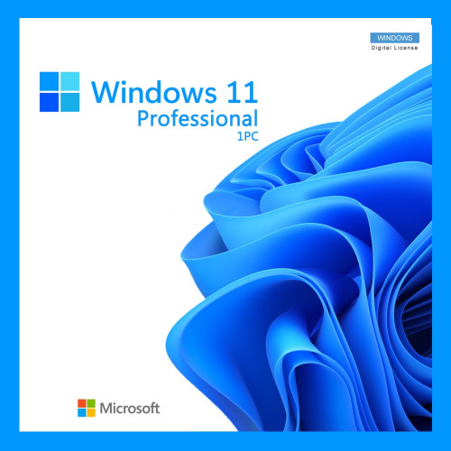 Microsoft Windows 10/11 Professional License Key