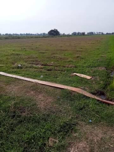 ដីសម្រាប់លក់ (បន្ទាន់) នៅស្រុកកោះធំ ជាប់និងក្រុងសំពៅពូន។ Price 15000.