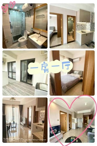 210$ kondo