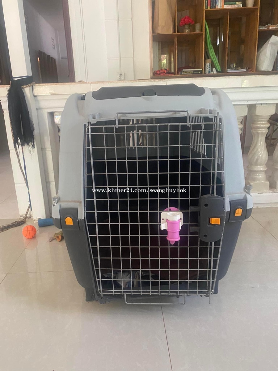 Moving Sale Skudo Dog Crate ទ្រុង ឆ្កែ Price 175 in Sala Kamraeuk