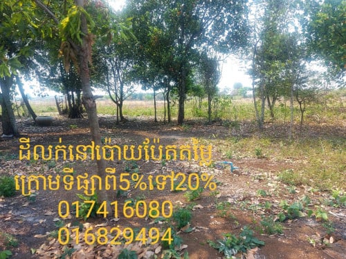 ដីលក់តម្លៃធូៗក្នុងក្រុងប៉ោយប៉ែត