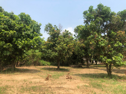 ដីលក់ ក្រុងកែប