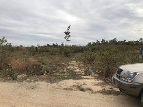 ដីក្បែរជើងភ្នំព្រះធាតុលក់ ទំហំ 50x150m