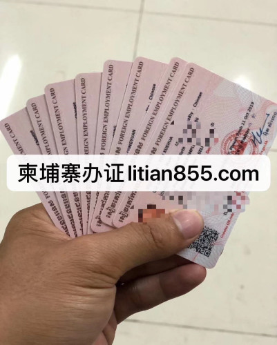 签证 劳工证 驾驶证 结婚证 营业执照 立天政务Litian visa