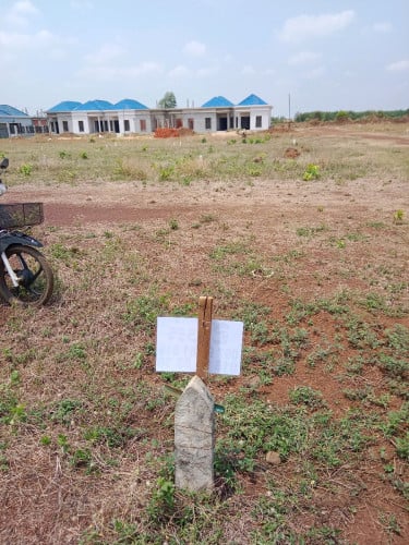 ដីលក់ឬដូឡានក៏បាន បញ្ជាក់មានឡូត៌កែង