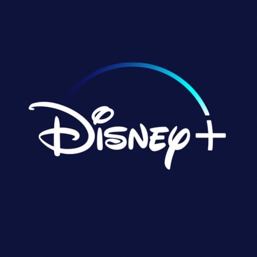 Disney Plus Own Profilename & Pincode 1Year