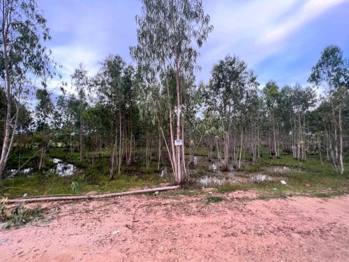 ដីលក់បន្ទាន់