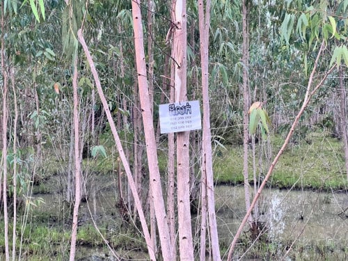 ដីលក់បន្ទាន់