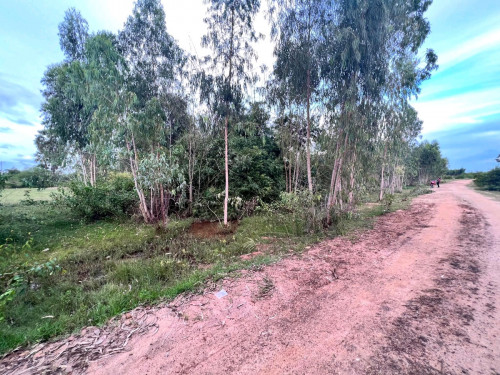 ដីលក់បន្ទាន់