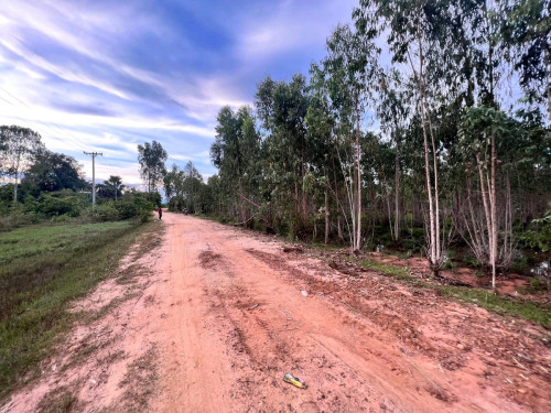 ដីលក់បន្ទាន់