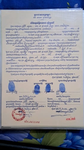 ដីលក់នៅស្កាយលែន បន្ទាន់ខ្លាំង