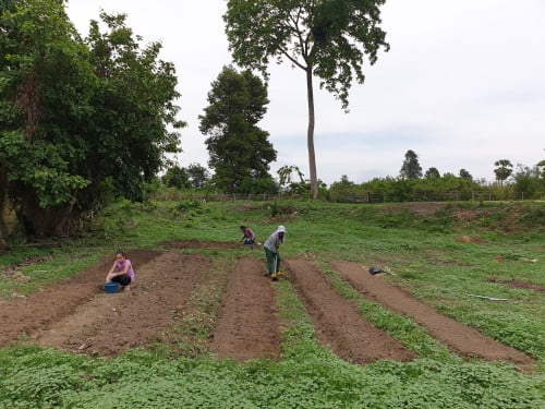 Family Land Resort (100KM from PP) for Sale​ (Special Price)