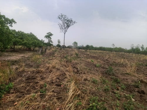 ដីលក់