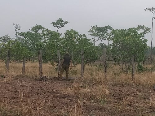 ដីលក់