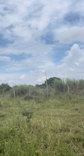 ជាប់គំរោងស្ពានភ្នំពេញ>ក្រុងអរុីក្សត្រ័