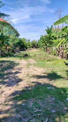 ដីជាប់ផ្លូវ6A 10mx100m