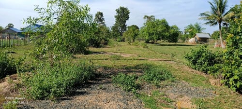 ដីជាប់ផ្លូវ6A 10mx100m