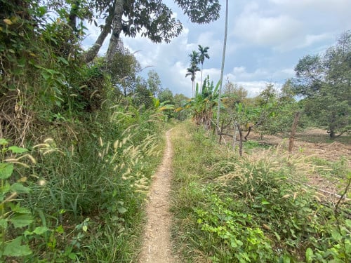 Land for Sale in Kampot River ដីលក់ 1.4HA នៅកំពត ជាប់មាត់ព្រែក