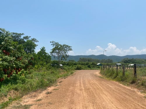 ដីចំការស្វាយ មានអូរ នៅ មួយជុំ ដី 1ហិកតា