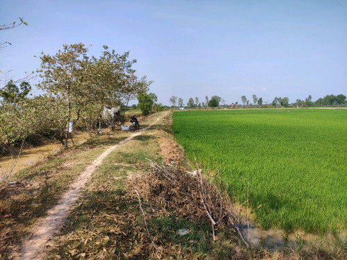 លក់ដីប្រញាប់