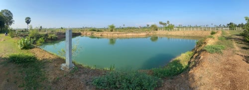 ដីស្រះ ម្ចាស់ដើមជីកលក់អាចម៍ដី