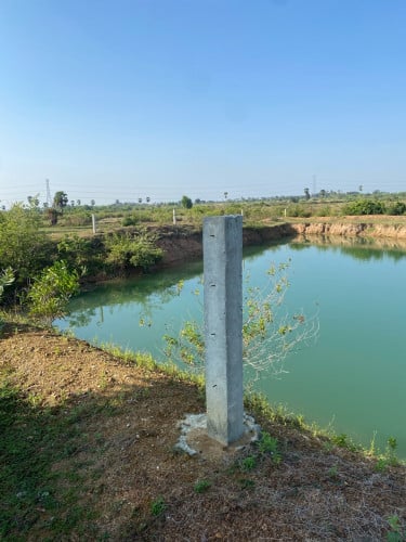 ដីស្រះ ម្ចាស់ដើមជីកលក់អាចម៍ដី