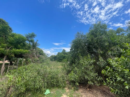 ដីធំ សាកសមសម្រាប់កសាងផ្ទះលំហែកណ្តាលក្រុង
