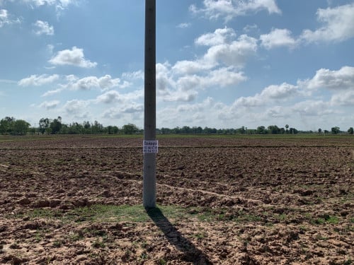 ដីលក់​បន្ទាន់​នៅ​ខេត្ត​ ស្វាយរៀង​ ស្រុក​ ស្វាយ​រៀង​ ឃុំ​ ស្វាយ​តឿ​ ភូមិ​ ឃោសាង