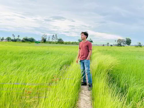 ដីក្បែរផ្លូវល្បឿនលឿន ក្រុងច្បារមន កំពង់ស្ពឺ