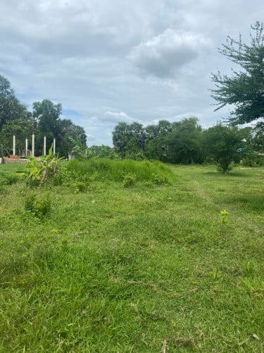 ដីលក់បន្ទាន់តម្លៃក្រោមទីផ្សារ ផ្លូវរដ្ឋ ១៥ម៉ែត្រ