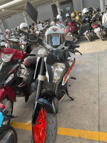 duke 500 cc