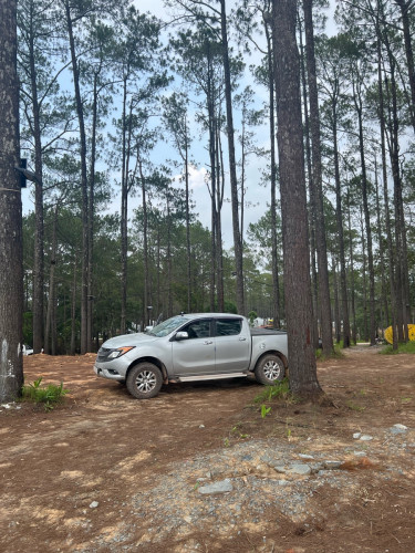 Car for sale