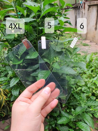 ស្រ្គីនការពារPixel2XL,3,3XL,4,4XL,5,6