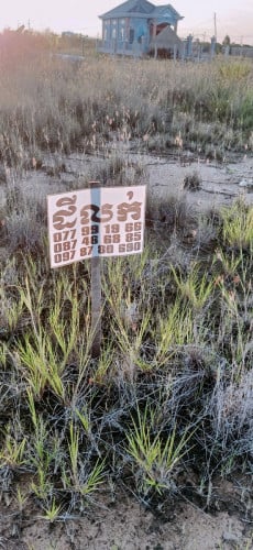 ដីឡូលក់5m*16m មាន2ឡូជាប់គ្នាចង់ទិញប៉ុន្មានឡូតាបាន