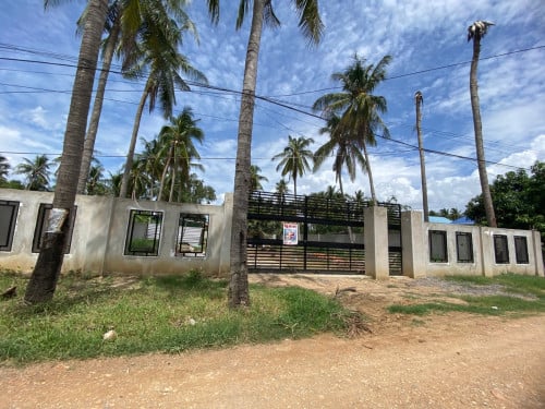 បាត់ដំបង ដីលក់ 20x40