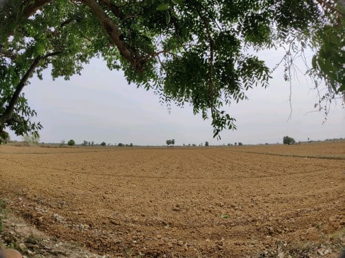 ដីលក់ ៥ហិចតា ជាប់ផ្លូវកៅស៊ូ-ផ្លូវរដ្ឋ