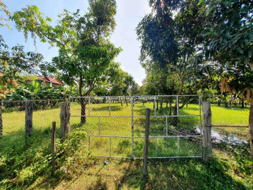ដីលក់បន្ទាន់មានទំហុំចាប់ពី 10m x 30m