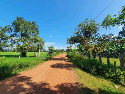 ដីលក់បន្ទាន់មានទំហុំចាប់ពី 10m x 30m