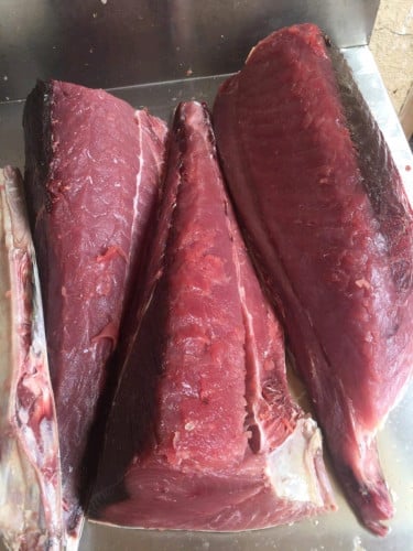 សាលម៉ុនស្រស់ឈុត0.50kg=14$
