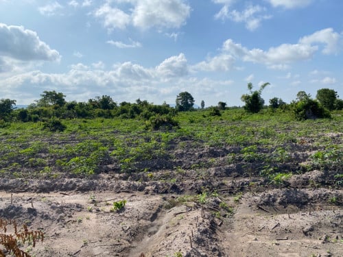 ដីលក់ ជិតភ្នំគូលេន តំលៃ 30000$