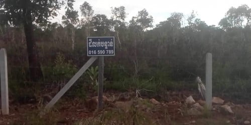 ដីលក់បន្ទាន់ខ្លាំងបងប្អូន