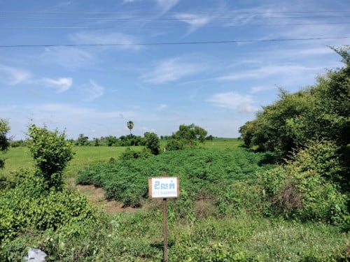 ដីលក់ នៅផ្លូវលេខ 71