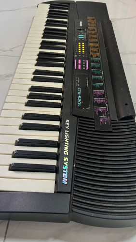 Casio ctk 520l price hotsell