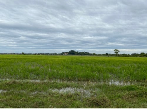 ដីកែងស្អាត លក់បន្ទាន់ទាបជាងទីផ្សារ 9$