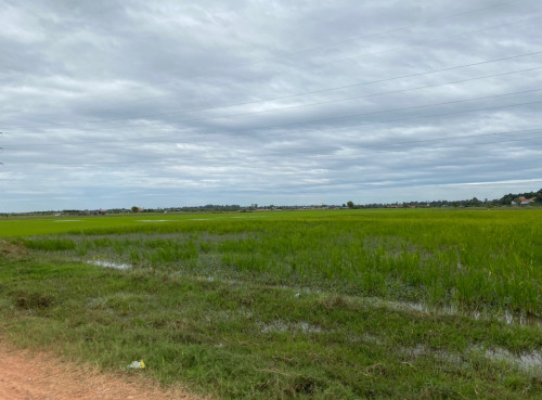 ដីកែងស្អាត លក់បន្ទាន់ទាបជាងទីផ្សារ 9$