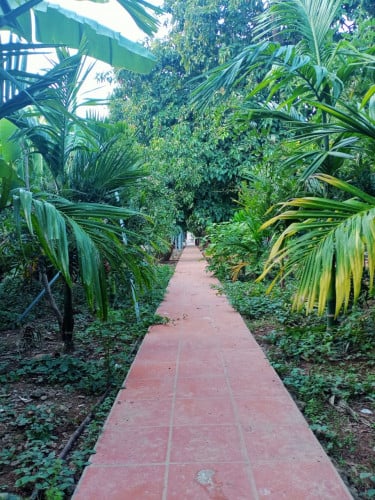 Urgent!!! Land and House for Urgent Sale in Sangkat Kbal Koh