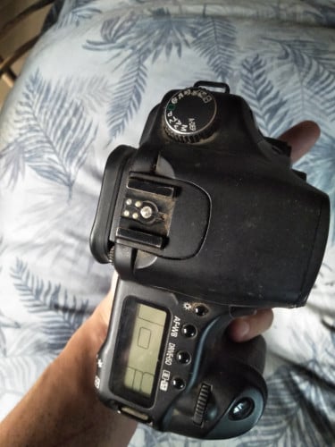 Canon EOS 30D 8.2MP Digital SLR Camera (Body Only)