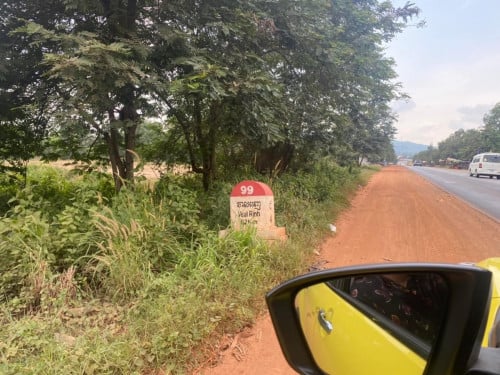 ដីចំការស្វាយ