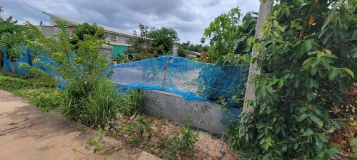 ដីលក់នៅសៀមរាប